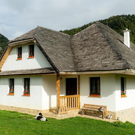 Pensiunea Hodaita Măgura Екстериор снимка